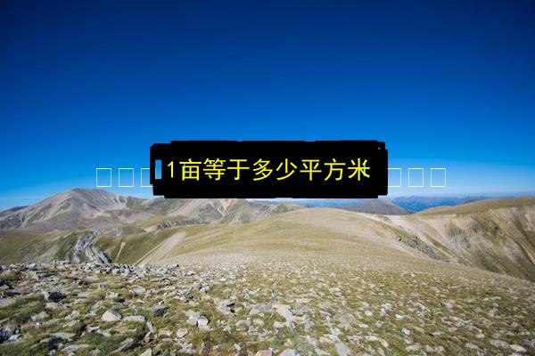 文章配图