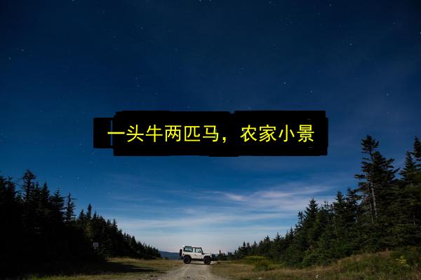 文章配图