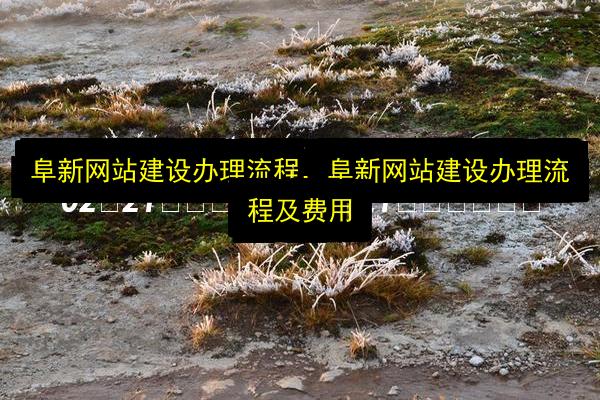 阜新网站建设办理流程,阜新网站建设办理流程及费用插图 文章配图