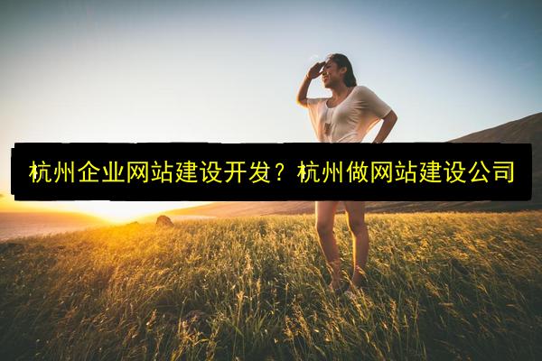 杭州企业网站建设开发?杭州做网站建设公司插图 文章配图