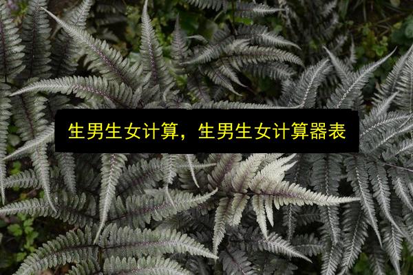 文章配图
