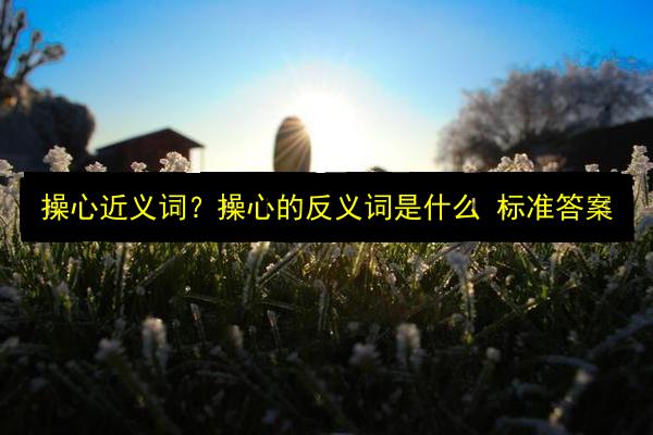 文章配图